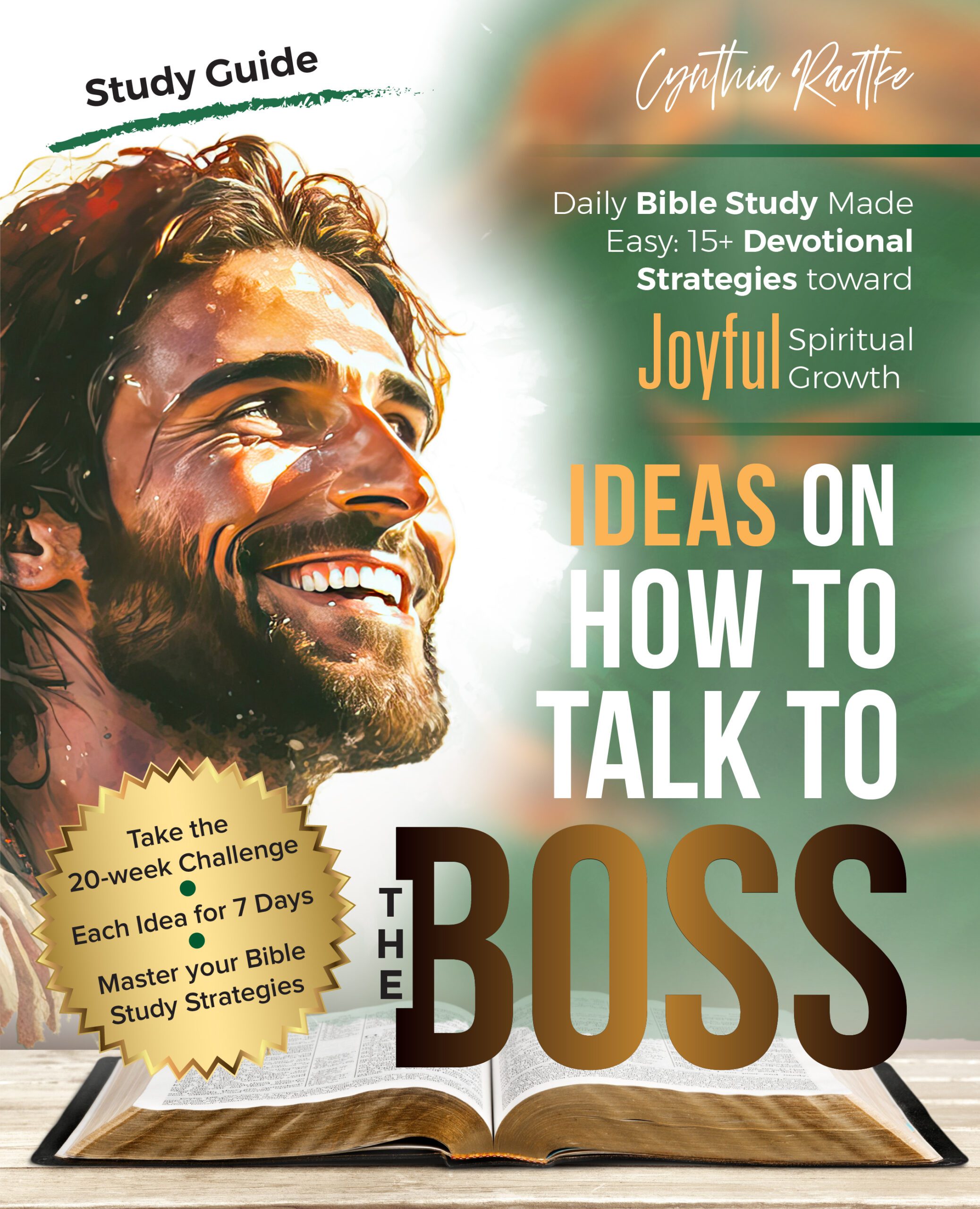 Ideas on How to Talk to the Boss Book2